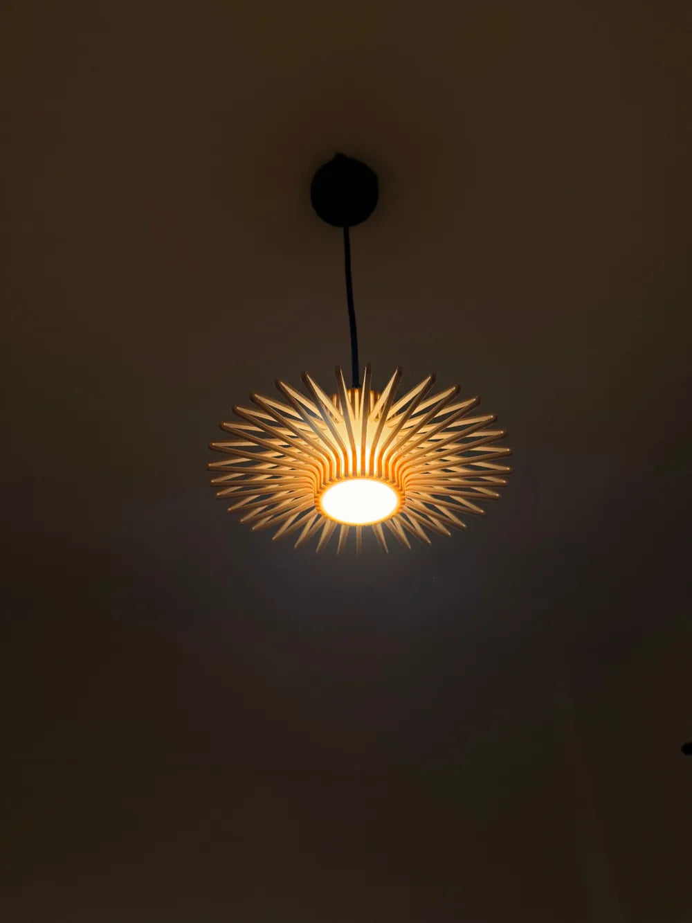 Oorun Pendant Lamp